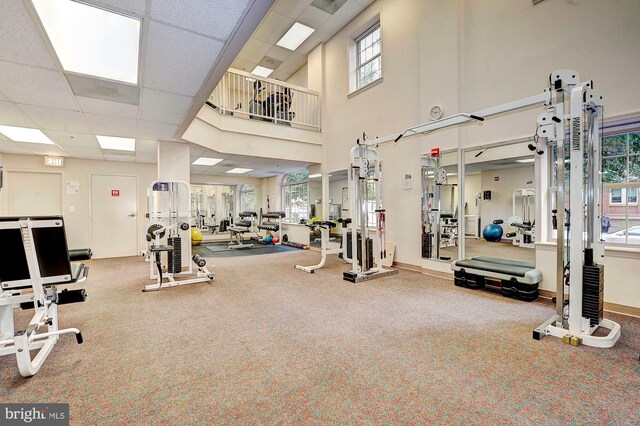 gym featuring a paneled ceiling, carpet floors, and a towering ceiling