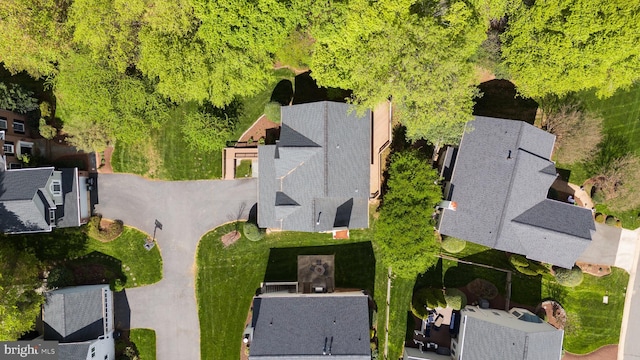 drone / aerial view