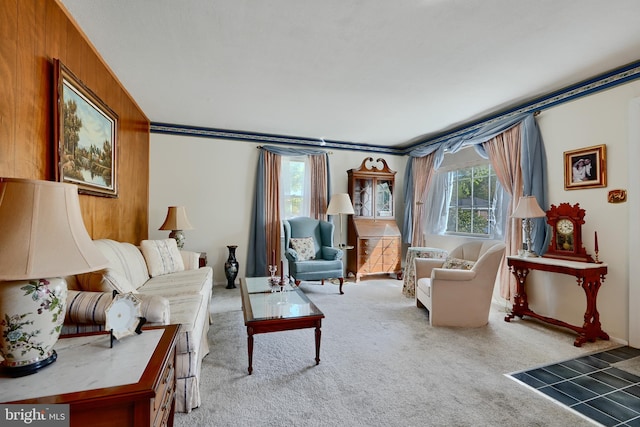 living room with carpet floors