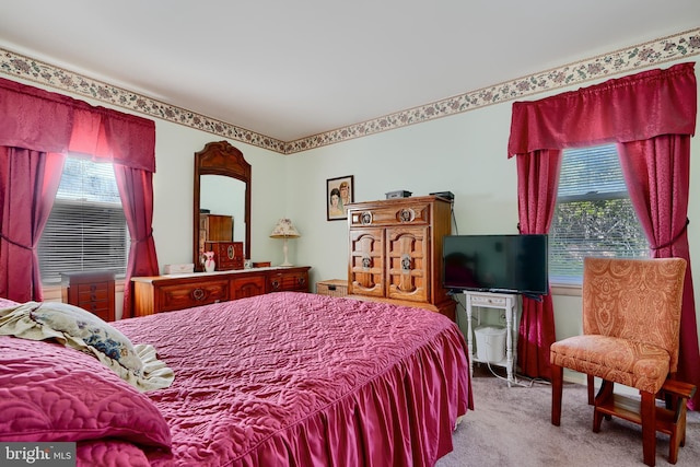 view of carpeted bedroom