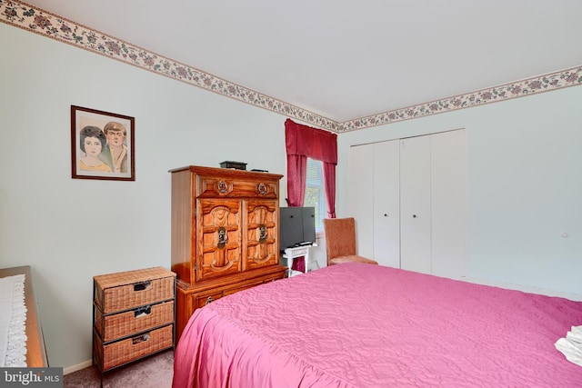 bedroom with a closet and carpet flooring