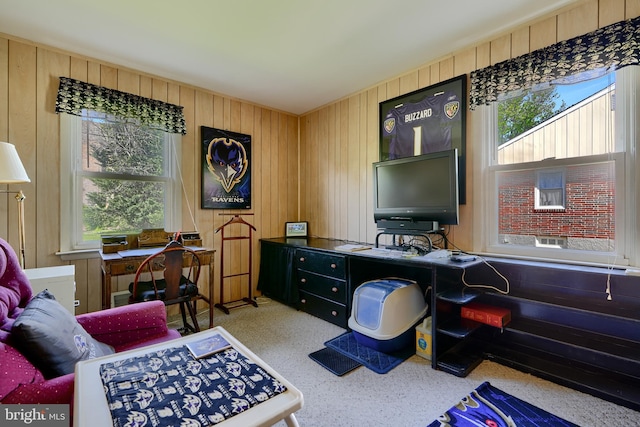 office space with wooden walls