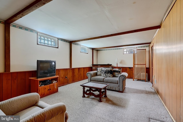 living area with a wainscoted wall, wood walls, and carpet floors