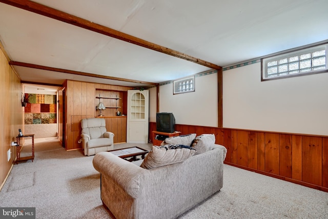 carpeted living room with wooden walls, a wainscoted wall, and a wealth of natural light
