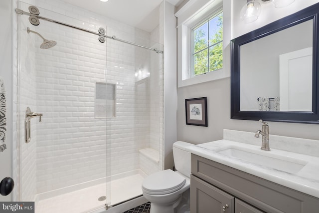 bathroom with vanity, a stall shower, and toilet