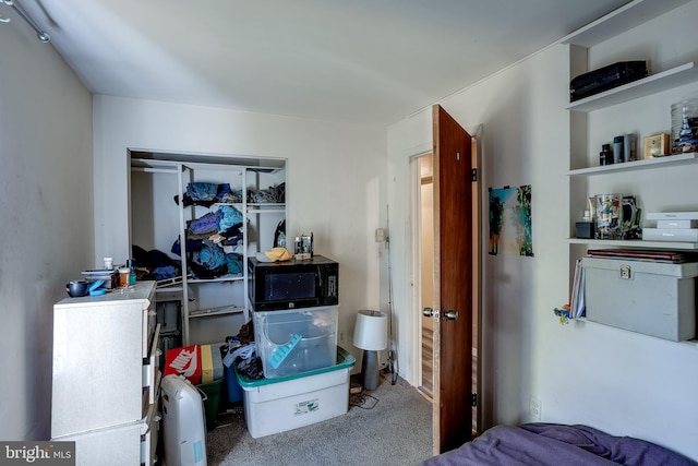 bedroom with carpet floors and a closet