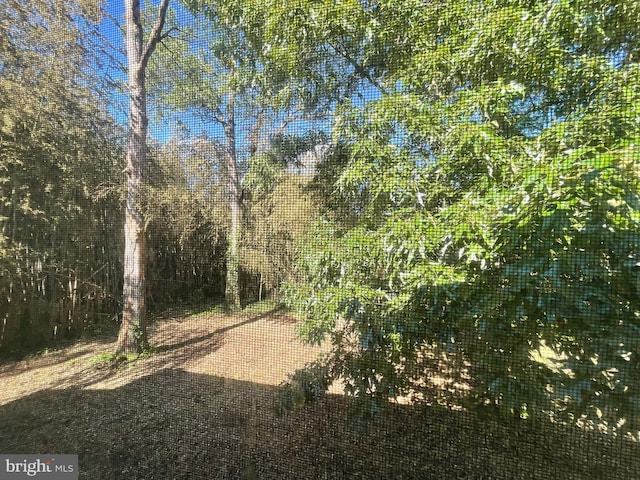5714 63rd Ave, Riverdale, MD 20737 - view of yard