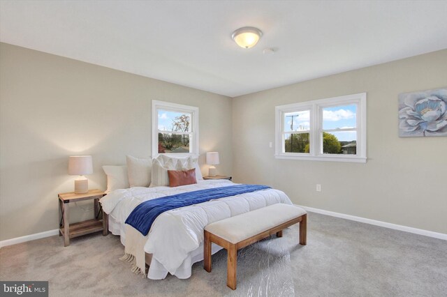 22 Spring Ridge Dr, York, PA 17408 - bedroom featuring baseboards, multiple windows, and light carpet