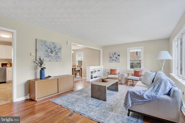 22 Spring Ridge Dr, York, PA 17408 - living area with light wood-style flooring and baseboards