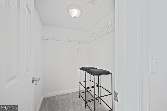 walk in closet featuring visible vents and carpet floors
