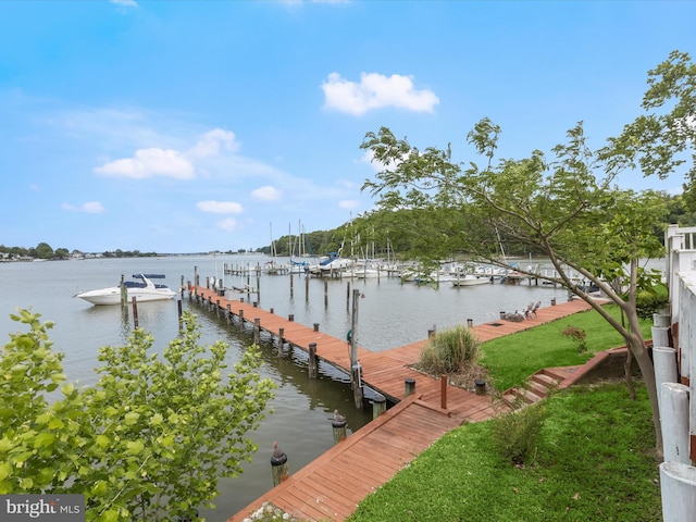 dock area with a water view
