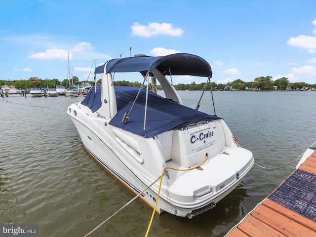 dock with a water view