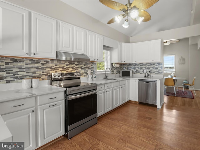 kitchen with stainless steel appliances, under cabinet range hood, ceiling fan, a sink, and light wood-style floors