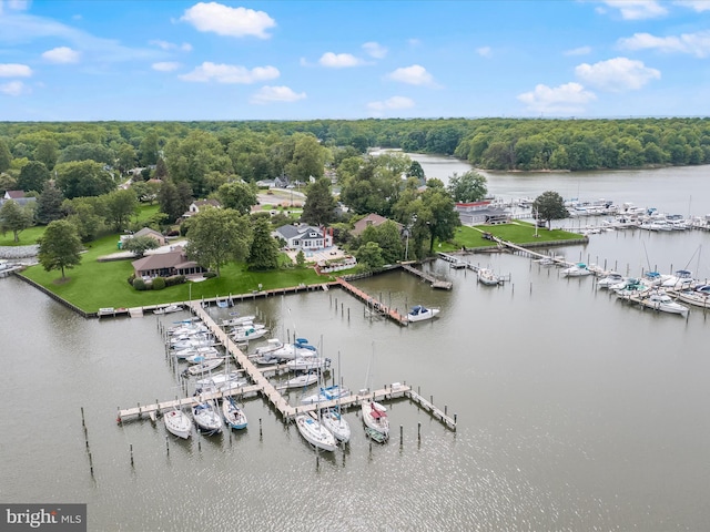 bird's eye view of a marina, a large body of water, and a forest