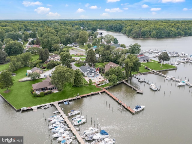 aerial view of a marina, a nearby body of water, and a forest