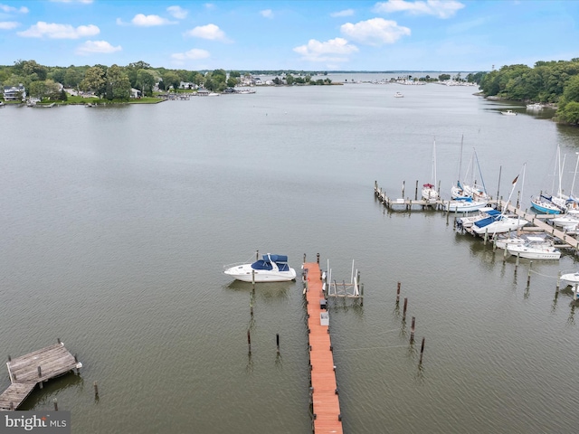 dock with a water view