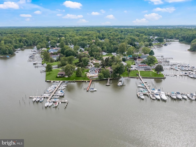 drone / aerial view of numerous boat docks, a large body of water, and a forest