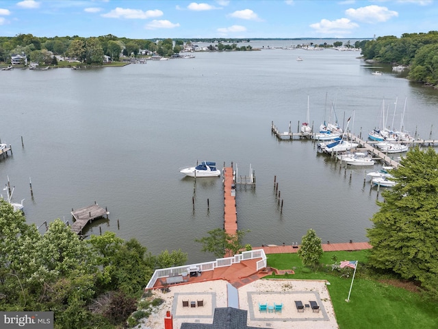 dock area with a water view