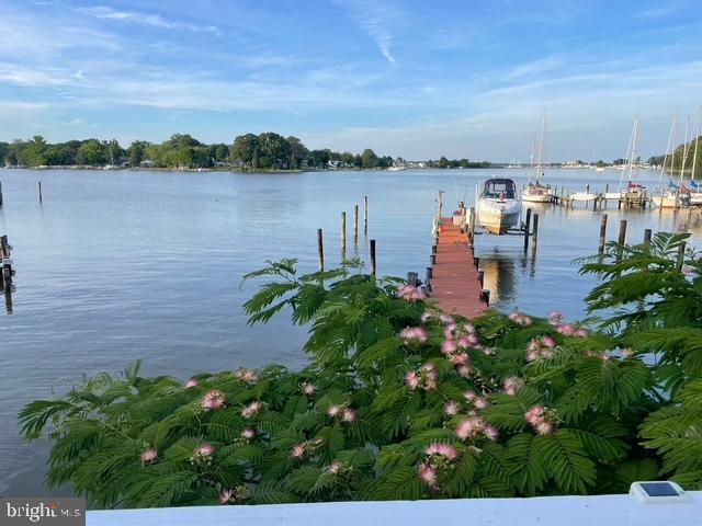 dock featuring boat lift and a water view