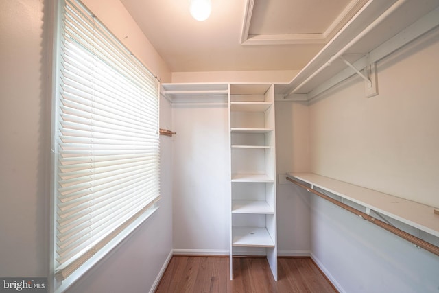 312 Fairgrove Ter, Gaithersburg, MD 20877 - walk in closet with wood finished floors