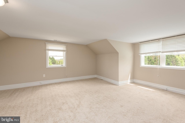 4808 Frazier Neck Rd, Preston, MD 21655 - additional living space featuring baseboards, lofted ceiling, and light carpet