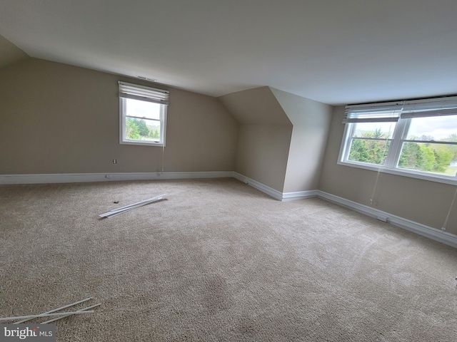 4808 Frazier Neck Rd, Preston, MD 21655 - additional living space featuring vaulted ceiling, visible vents, carpet flooring, and baseboards