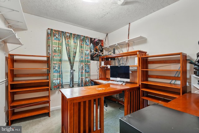 6775 Rugby Pl, Bealeton, VA 22712 - carpeted office space featuring a textured ceiling
