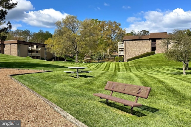 view of community with a yard