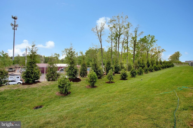 6647 Camden St, Middle River, MD 21220 - view of yard