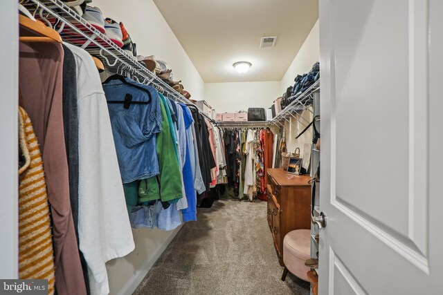 spacious closet featuring visible vents and carpet