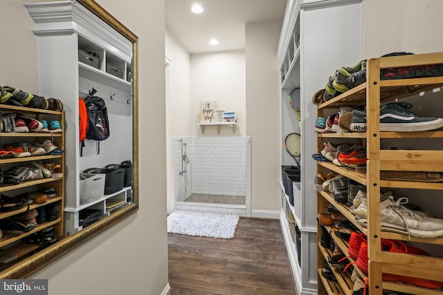 spacious closet featuring dark wood-style flooring