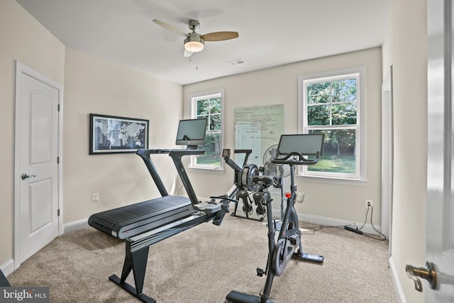 exercise area with visible vents, baseboards, carpet flooring, and plenty of natural light