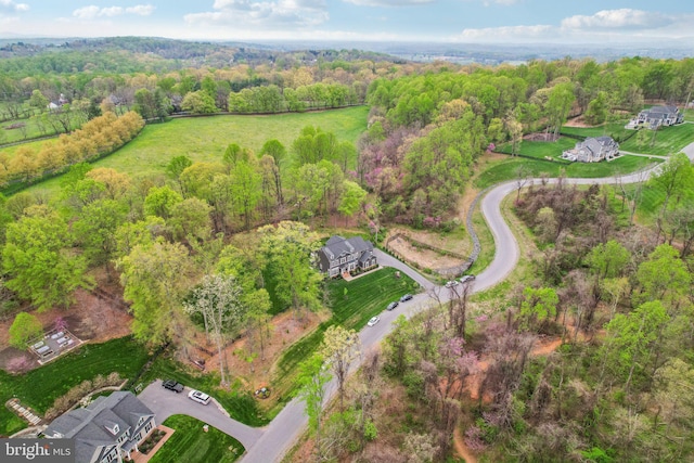 bird's eye view with a forest view