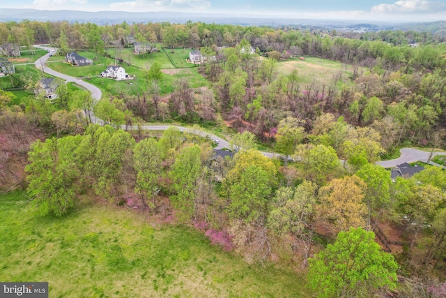 bird's eye view with a view of trees