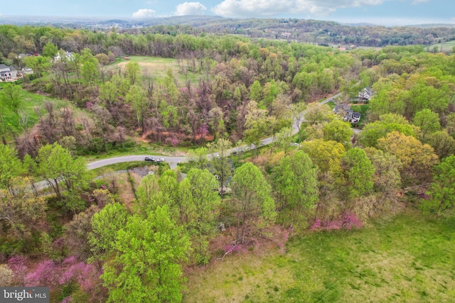 aerial view with a forest view