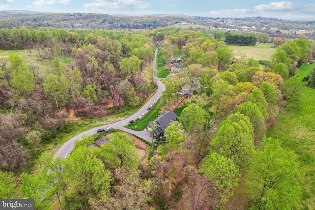 birds eye view of property featuring a forest view