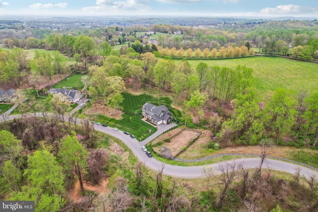 bird's eye view