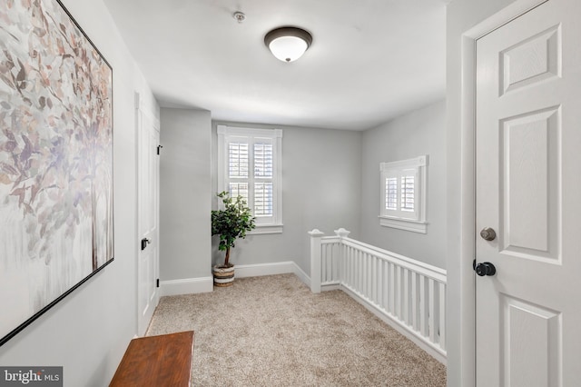 548 Uniontown Rd, Westminster, MD 21158 - carpeted empty room with a wealth of natural light and baseboards