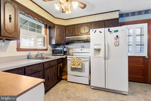 kitchen featuring under cabinet range hood, dark brown cabinets, a sink, white appliances, and ceiling fan