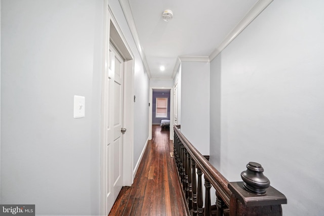 4517 Springfield Ave, Philadelphia, PA 19143 - corridor featuring crown molding, baseboards, and dark wood finished floors