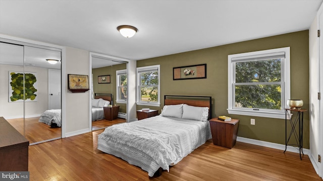 307 Homestead Rd, Hershey, PA 17033 - bedroom with two closets, multiple windows, a baseboard heating unit, and wood finished floors