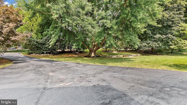 307 Homestead Rd, Hershey, PA 17033 - view of street
