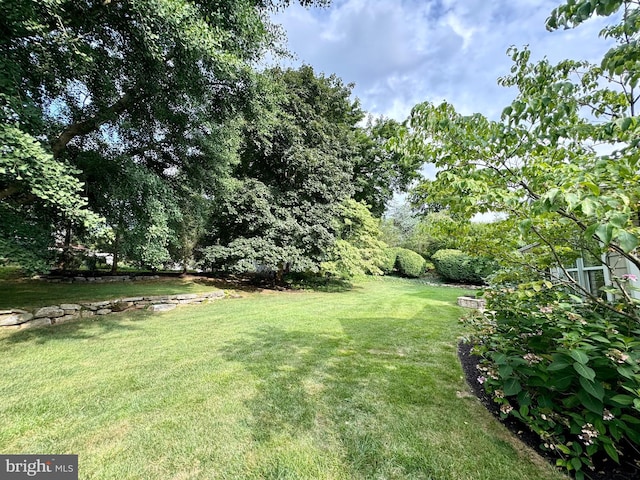 307 Homestead Rd, Hershey, PA 17033 - view of yard