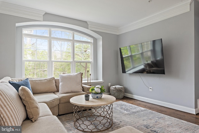 1614 Belle Dr, Annapolis, MD 21401 - living room featuring crown molding, baseboards, and plenty of natural light