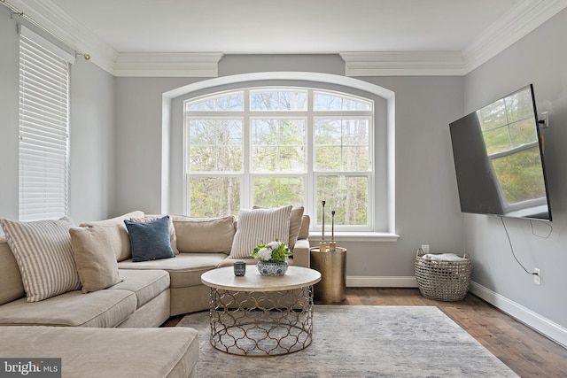 1614 Belle Dr, Annapolis, MD 21401 - living area featuring ornamental molding, baseboards, and wood finished floors