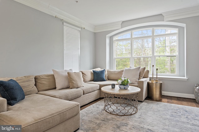 1614 Belle Dr, Annapolis, MD 21401 - living room with crown molding, wood finished floors, and baseboards