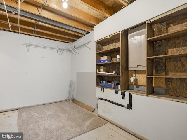 unfinished basement with electric panel