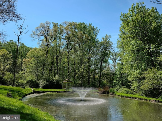 6068 Stoney Hill Rd, New Hope, PA 18938 - view of water feature featuring a gazebo and a forest view