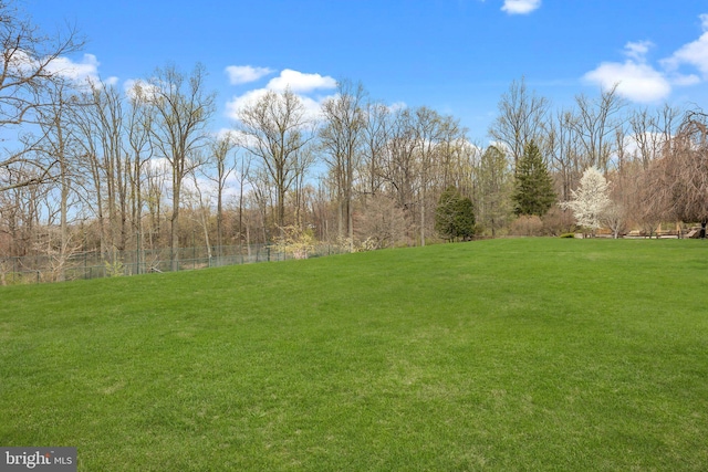 6068 Stoney Hill Rd, New Hope, PA 18938 - view of yard featuring fence