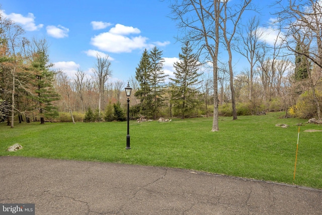 6068 Stoney Hill Rd, New Hope, PA 18938 - view of yard